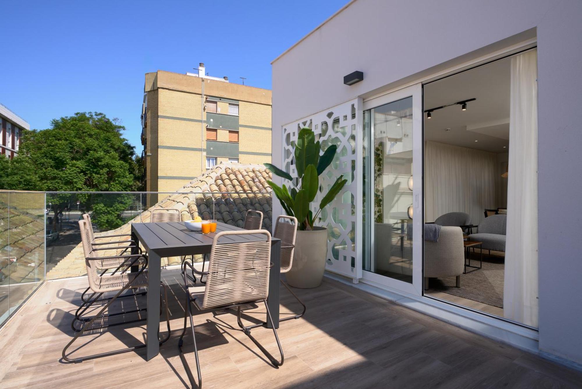 Penthouse Apartment with terrace